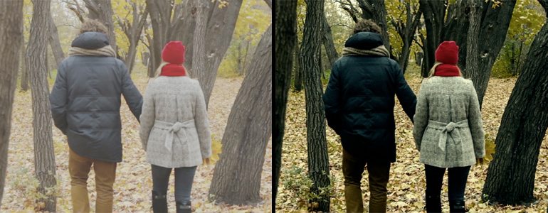 Professional - Color Grading LUT Presets for Final Cut Pro X